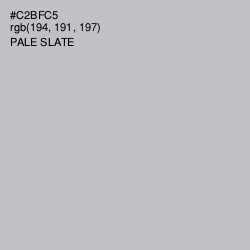 #C2BFC5 - Pale Slate Color Image